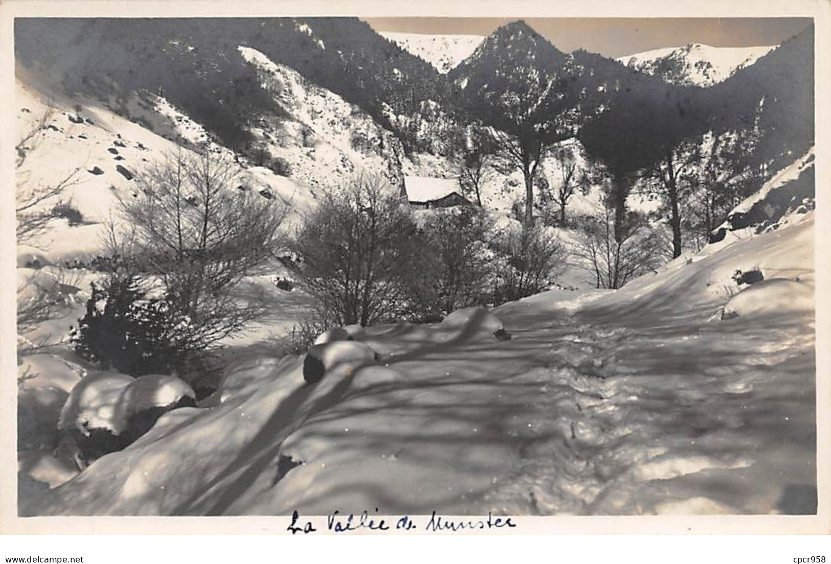 68. MUNSTER - N°68686 - La Vallée De Munster - La Wolmsa - C. Tugler - Carte Photo - Munster