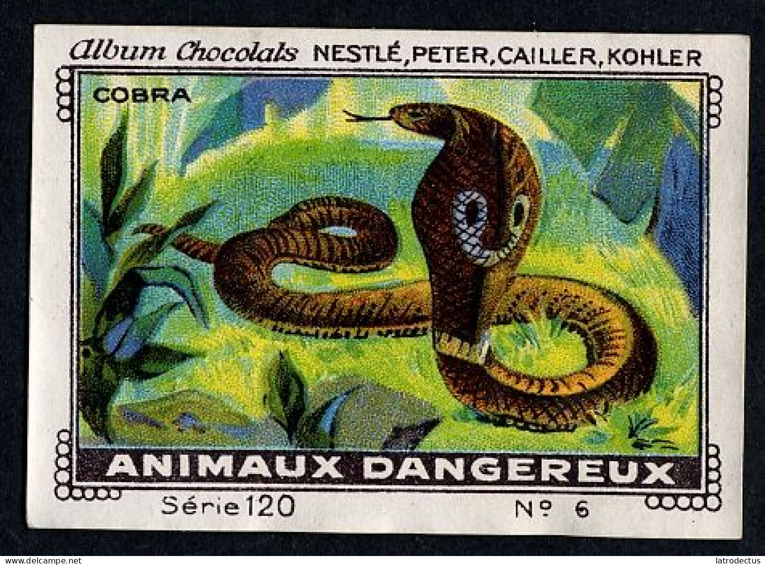 Nestlé - 120 - Animaux Dangereux, Dangerous Animals - 6 - Cobra - Nestlé