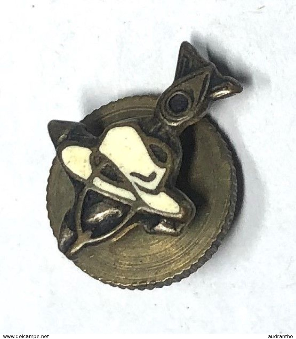 Ancien Insigne De Boutonnière - Militaria - Amicale Des Anciens SAHARIENS - Luchtmacht