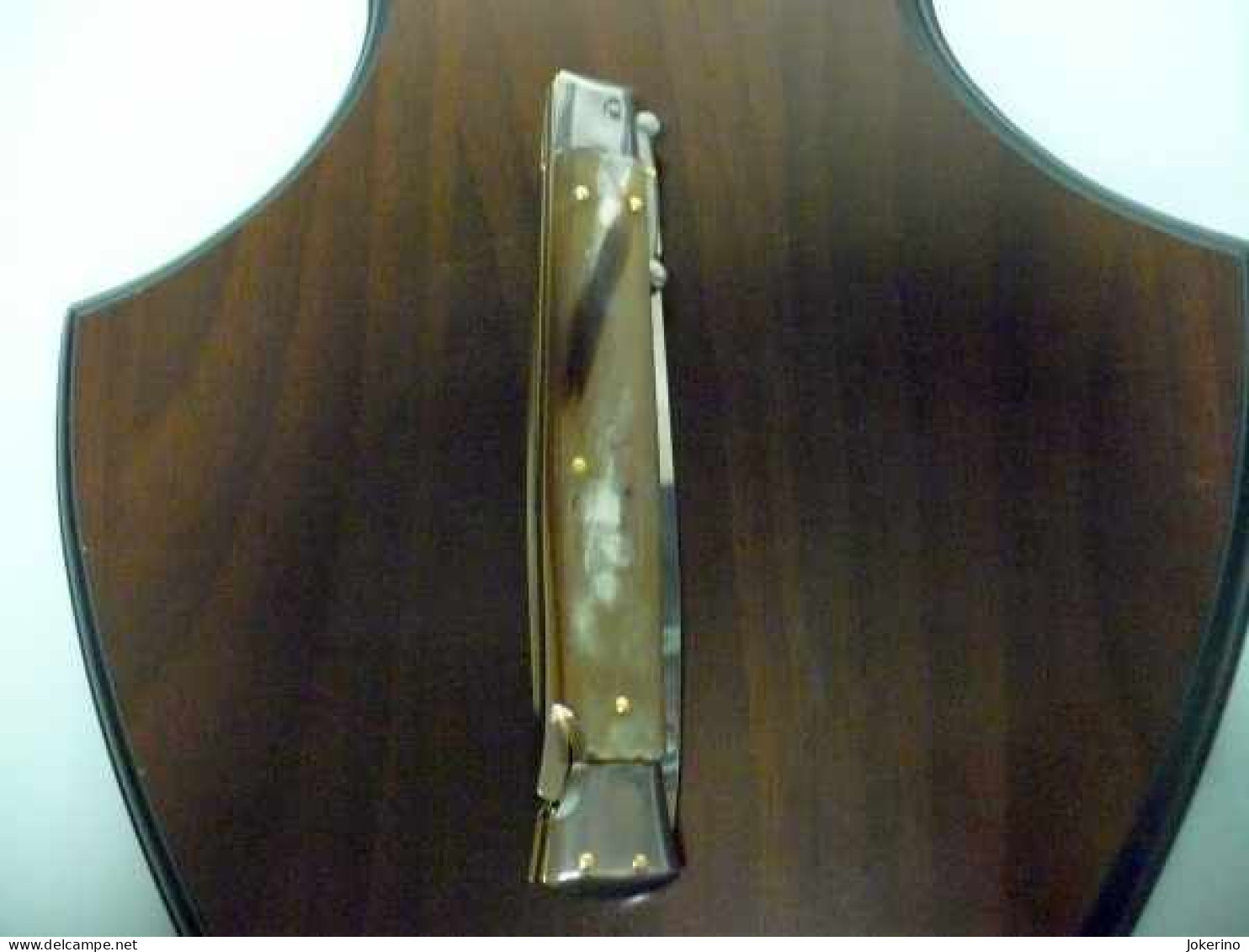 SWINGUARD-Frank Beltrame -italian stiletto- 28cm - impugnatura di corno di bufalo - modello FB 550/48B - 6
