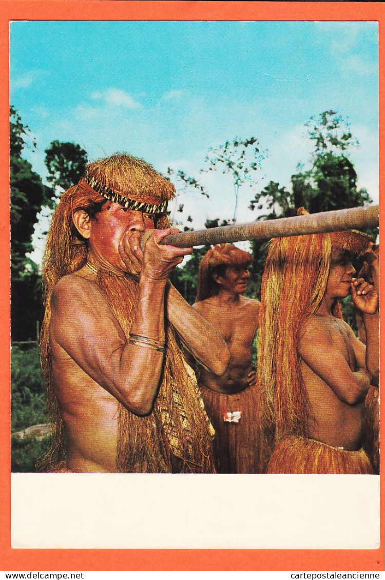 19861 / ⭐ ♥️ Peu Commun PERU Région IQUITOS Amazonia YAGUA Indian With Blowgun PEROU Chasseurs Sarbacane Mai 1972 - Perú