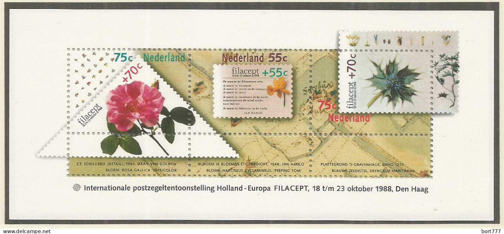 NETHERLANDS 1991 Year , S/S Mint MNH (**)  - Blocks & Sheetlets