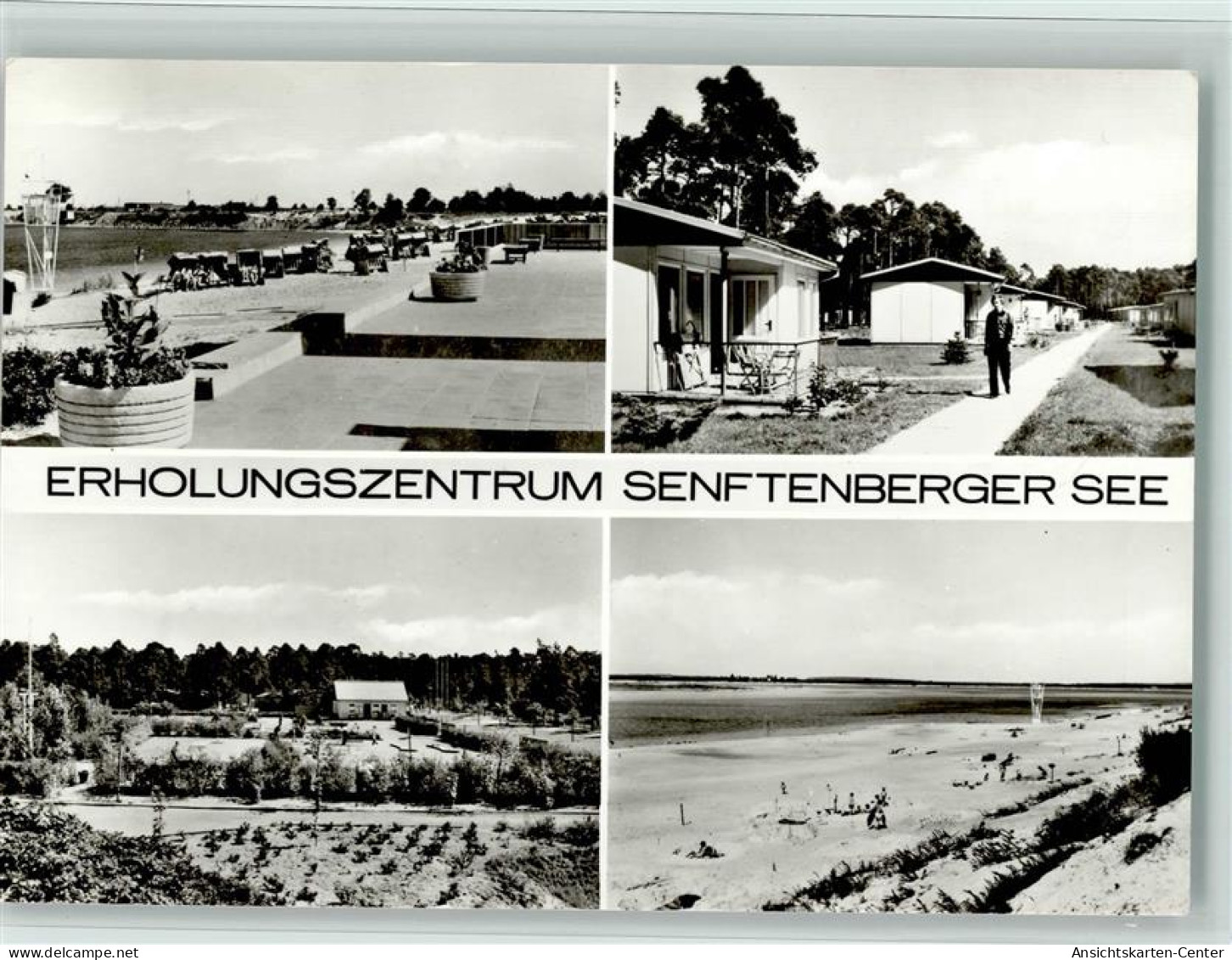 10561201 - Senftenberg See - Grossraeschen