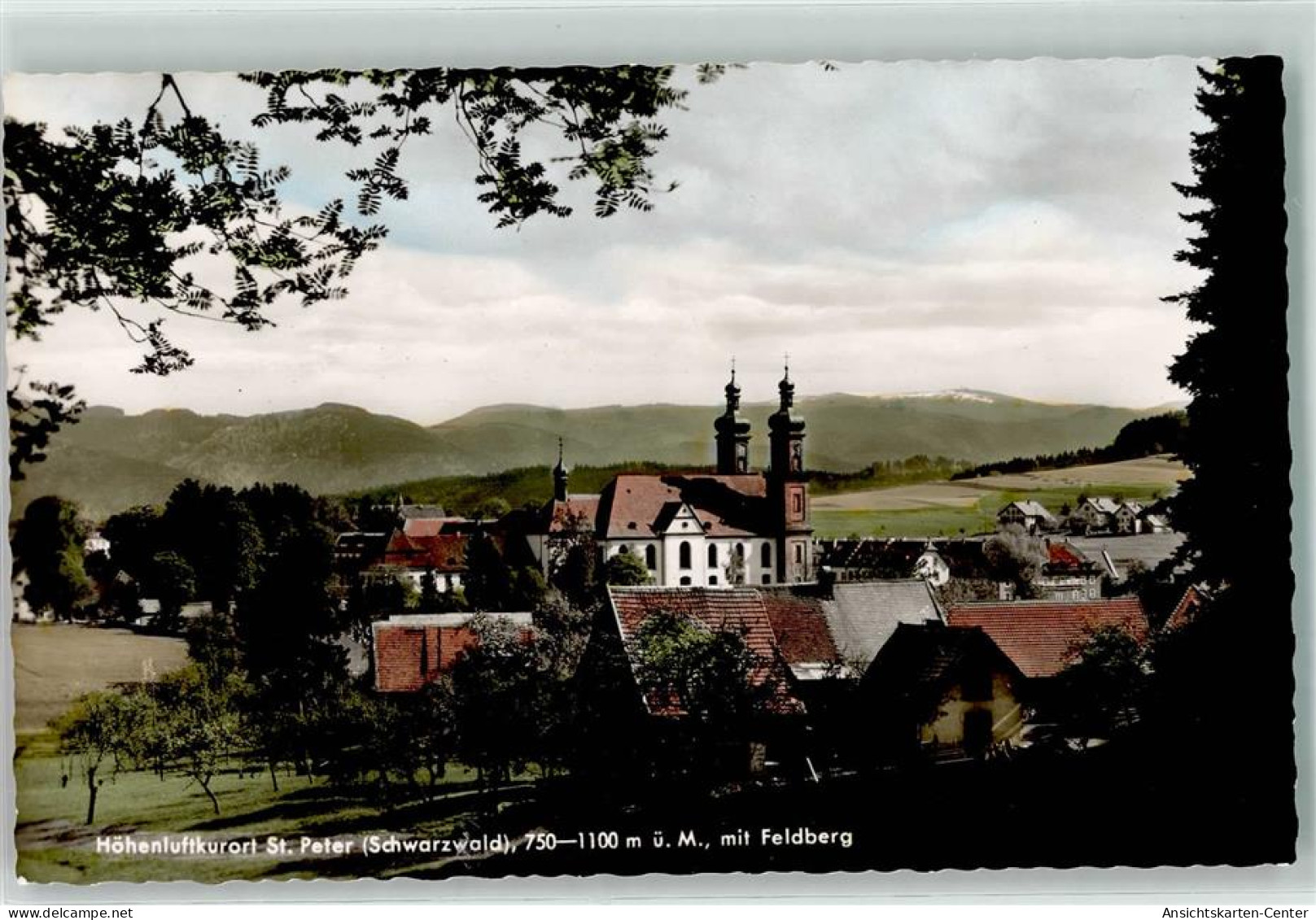 39392801 - St. Peter , Schwarzw - St. Peter