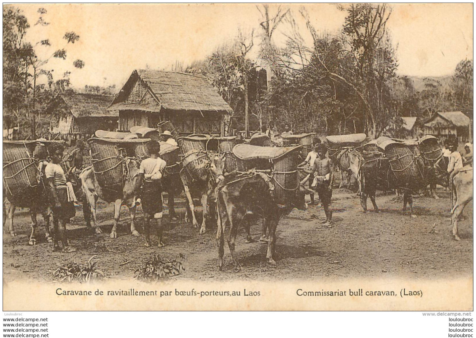 LAOS CARAVANE DE RAVITAILLEMENT PAR BOEUFS PORTEURS - Laos