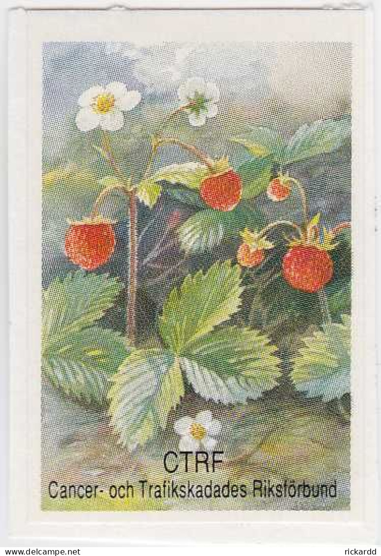 Sweden - Cinderella CTRF - Wild Strawberries, On Letter Cut - Cinderellas