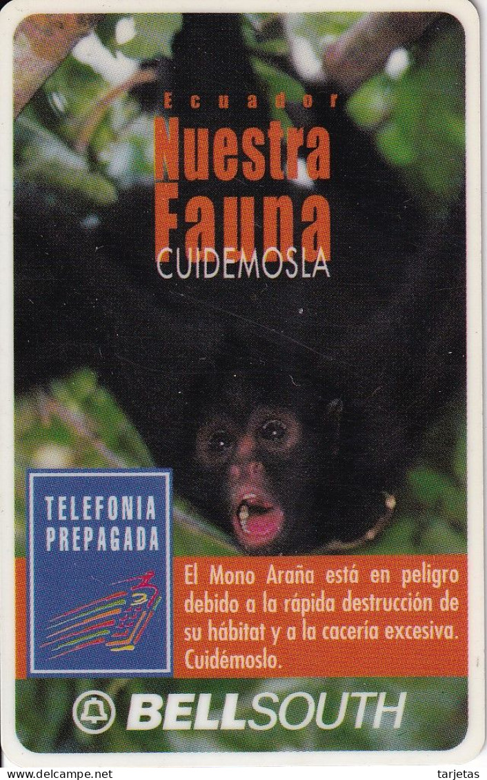 TARJETA DE ECUADOR DE UN MONO ARAÑA (MONKEY) CON MARCO BLANCO ALREDEDOR - CADUCA NOVIEMBRE 2000 - Ecuador