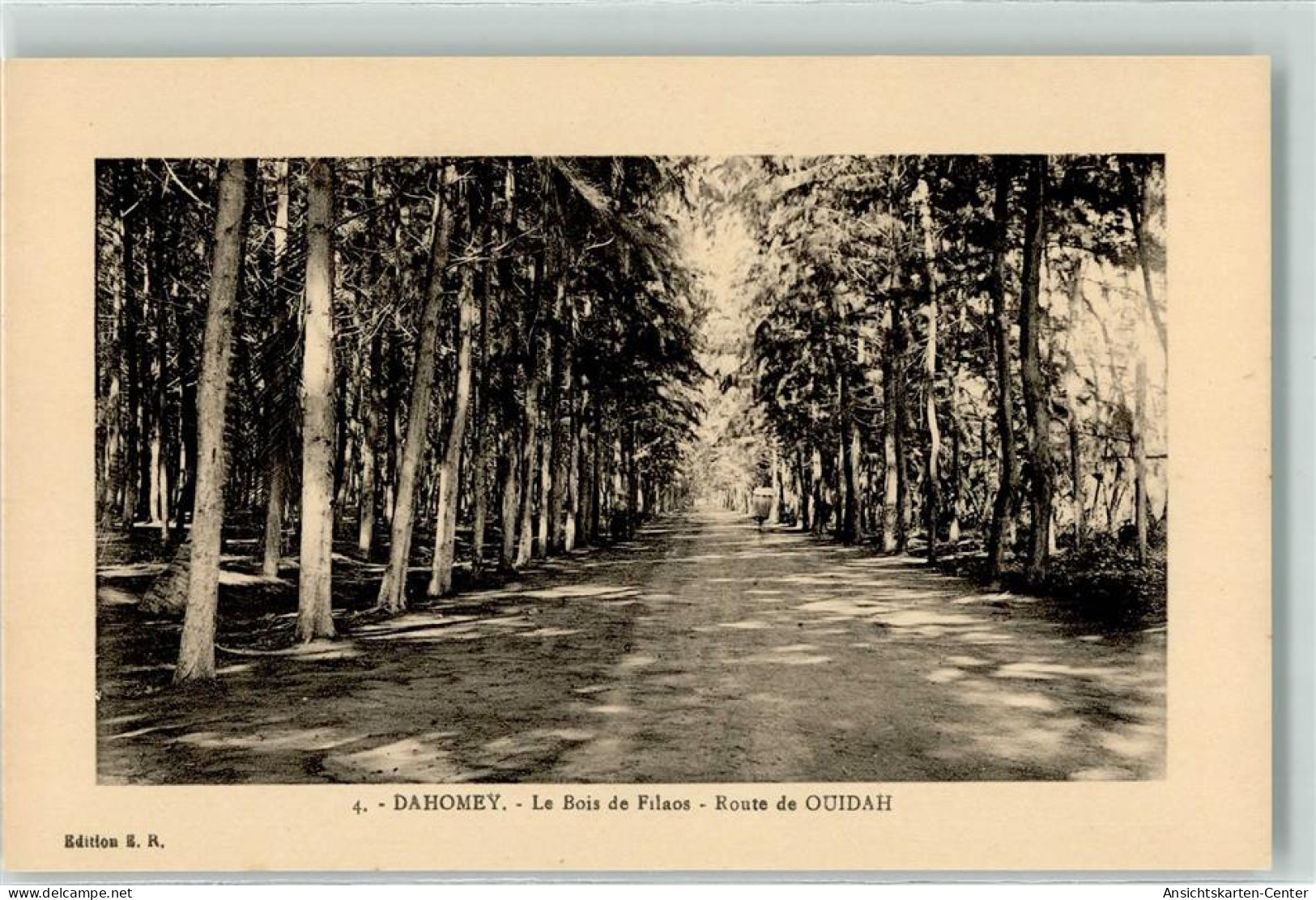 39354201 - Le Bois De Filaos Route De Ouidah - Benín