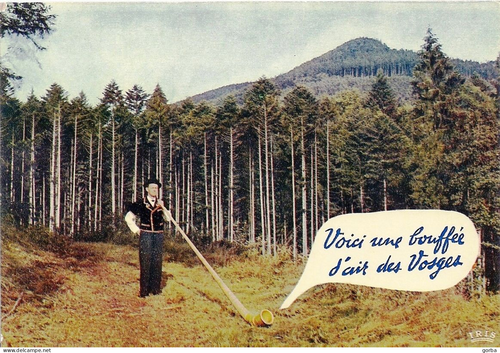 *CPM - FRANCE - LORRAINE - Voici Une Bouffée D'air Des VOSGES - Cor Des Alpes - - Lorraine