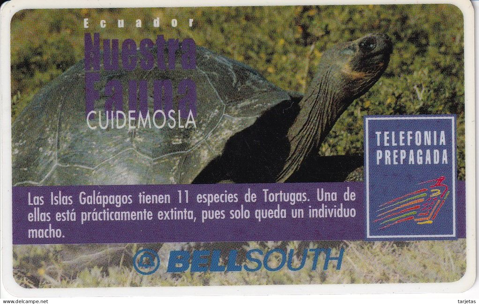 TARJETA DE ECUADOR DE UNA TORTUGA DE LAS GALAPAGOS (TURTLE) CON MARCO BLANCO ALREDEDOR - CADUCA NOVIEMBRE 2000 - Equateur