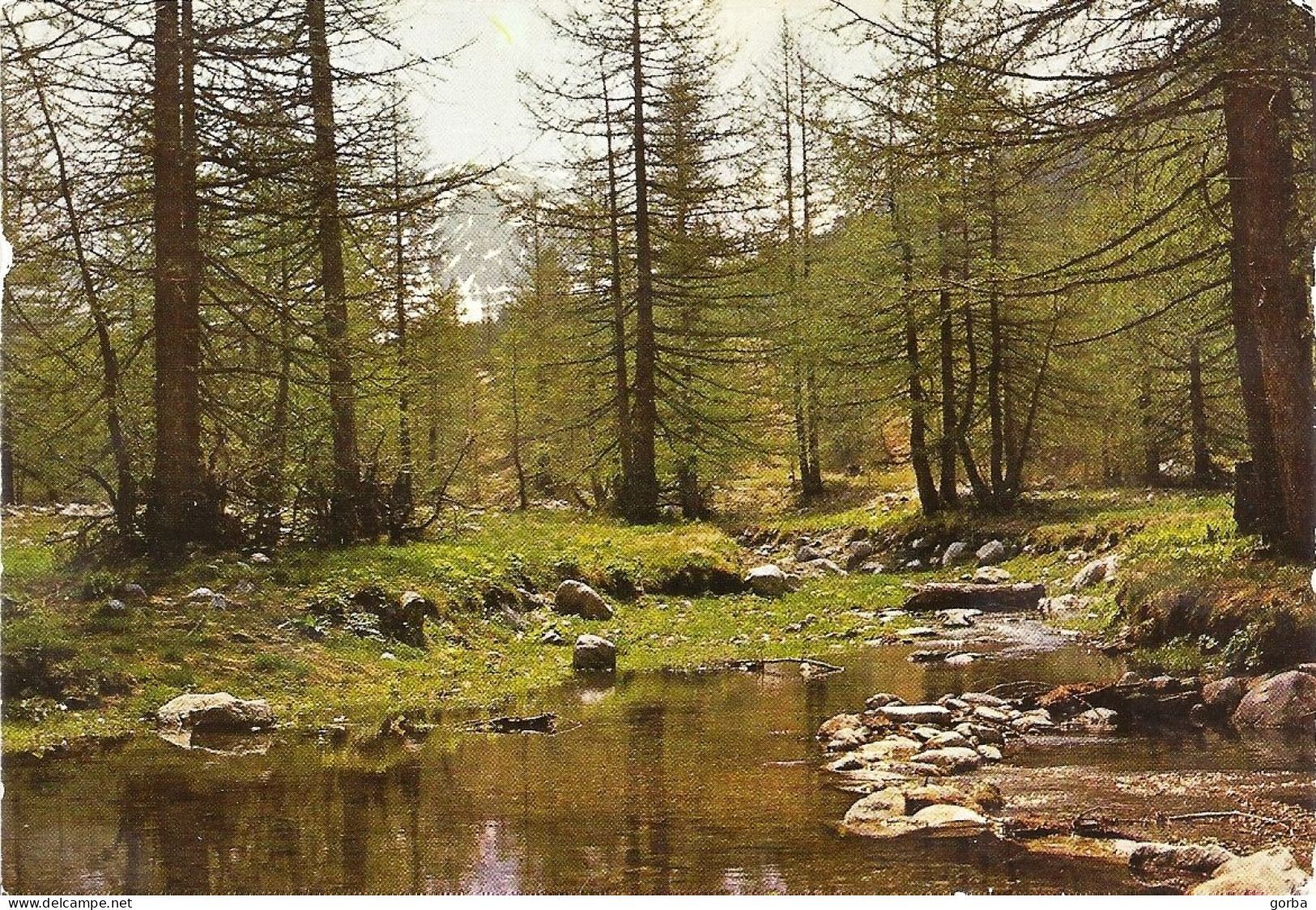 *CPM - FRANCE - RHONE-ALPES - Site Alpestre - Rhône-Alpes