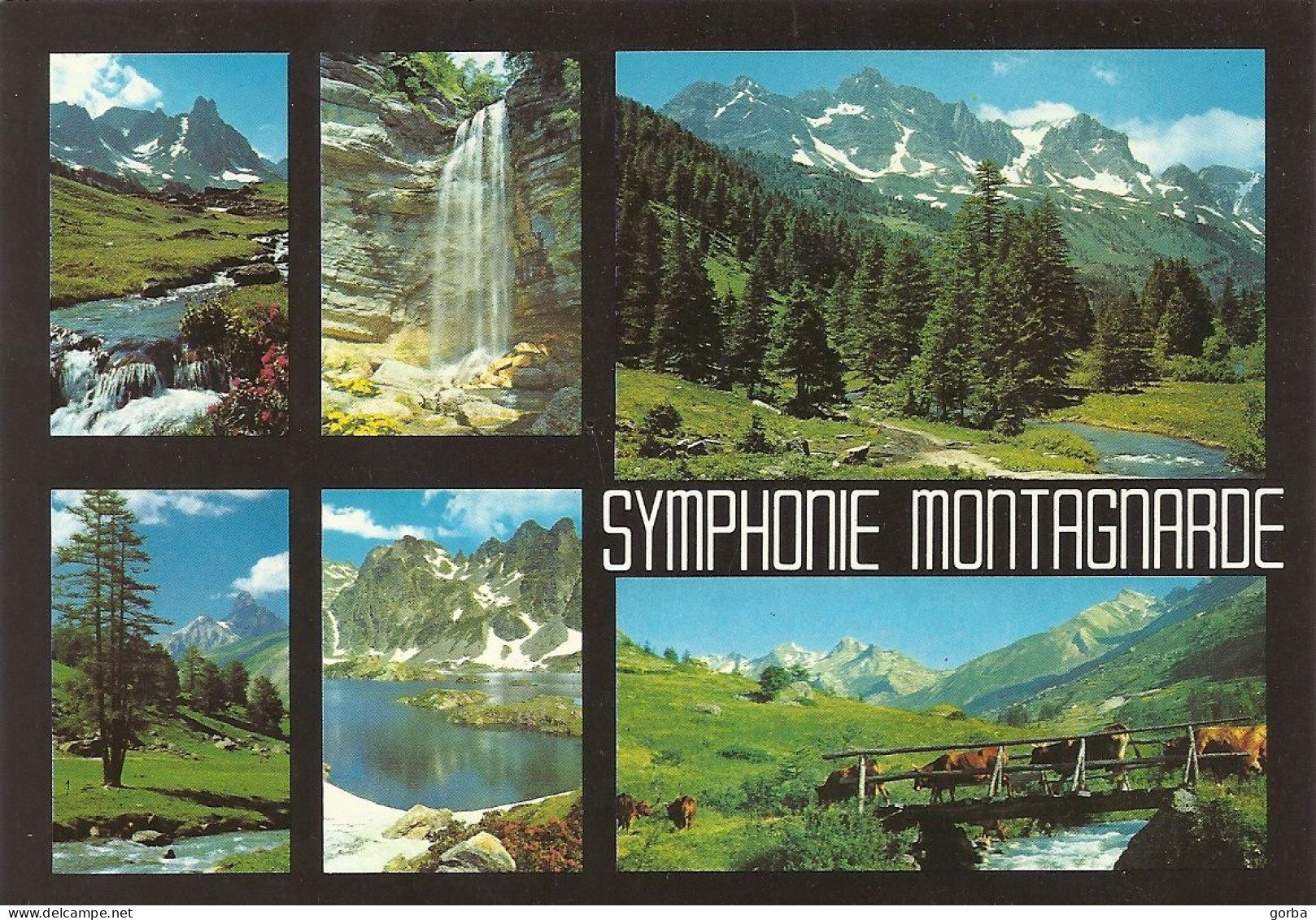 *CPM - FRANCE - RHONE-ALPES - Symphonie Montagnarde - Multivues - Rhône-Alpes