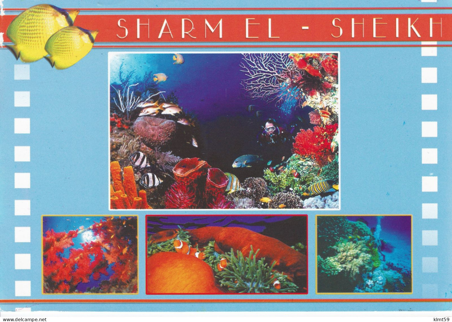 Sharm El Sheikh - Sharm El Sheikh