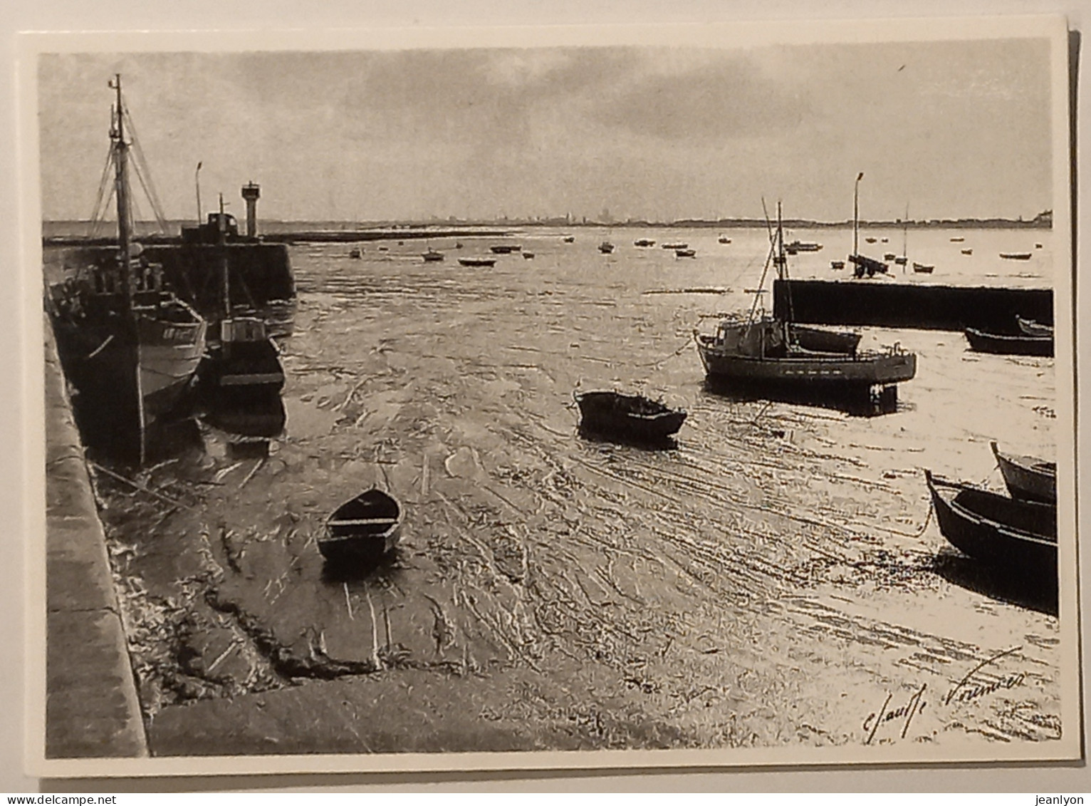 BATEAU DE PECHE - ILE DE RE / Port De Peche Marée Basse - RIVEDOUX PLAGE - Carte Postale Reproduisant Photo C. Fournier - Fischerei