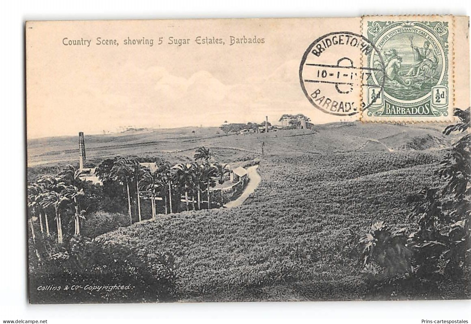 CPA La Barbades Country Scene Showing 5 Sugar Estate - Barbados (Barbuda)