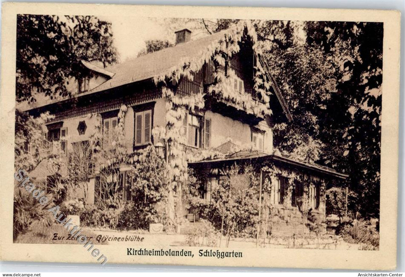 51385201 - Kirchheimbolanden - Kirchheimbolanden