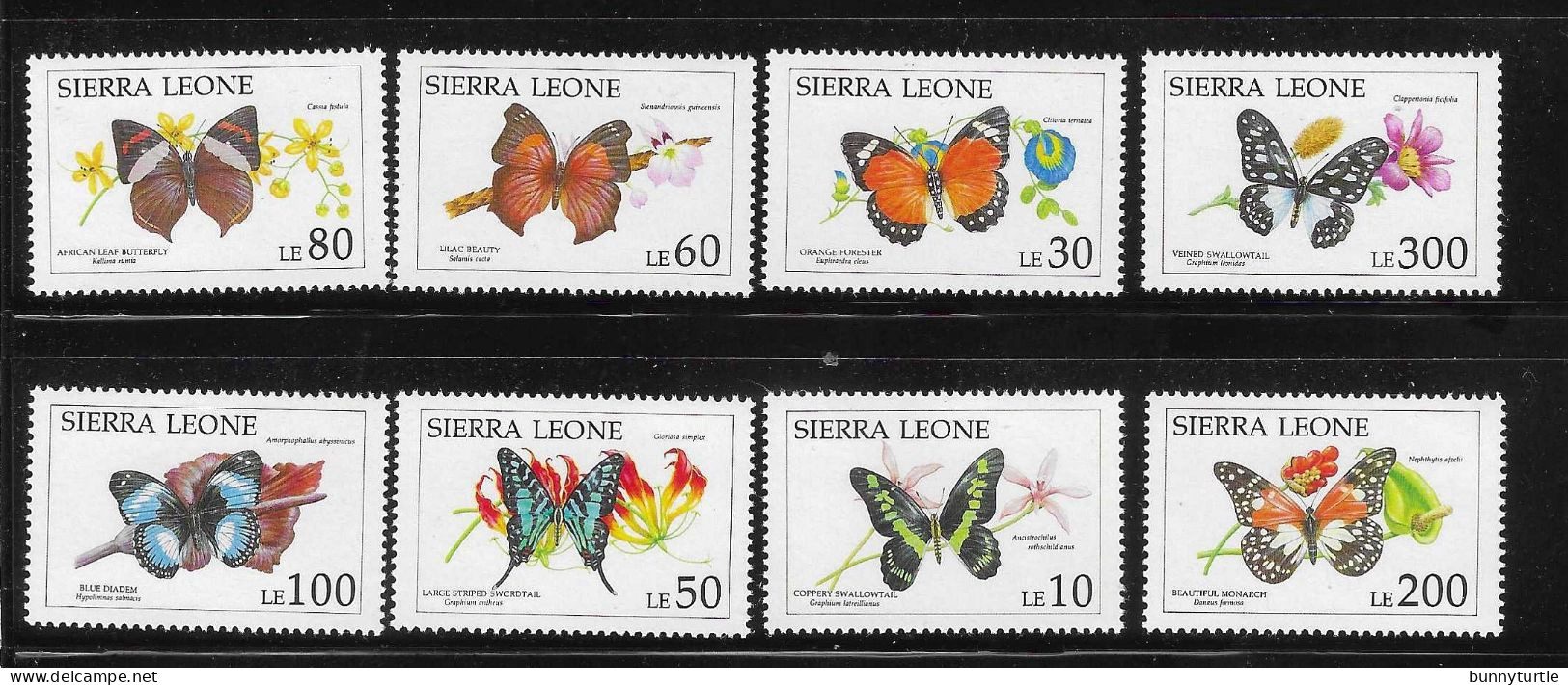 Sierra Leone 1991 Butterflies Butterfly MNH - Sierra Leone (1961-...)