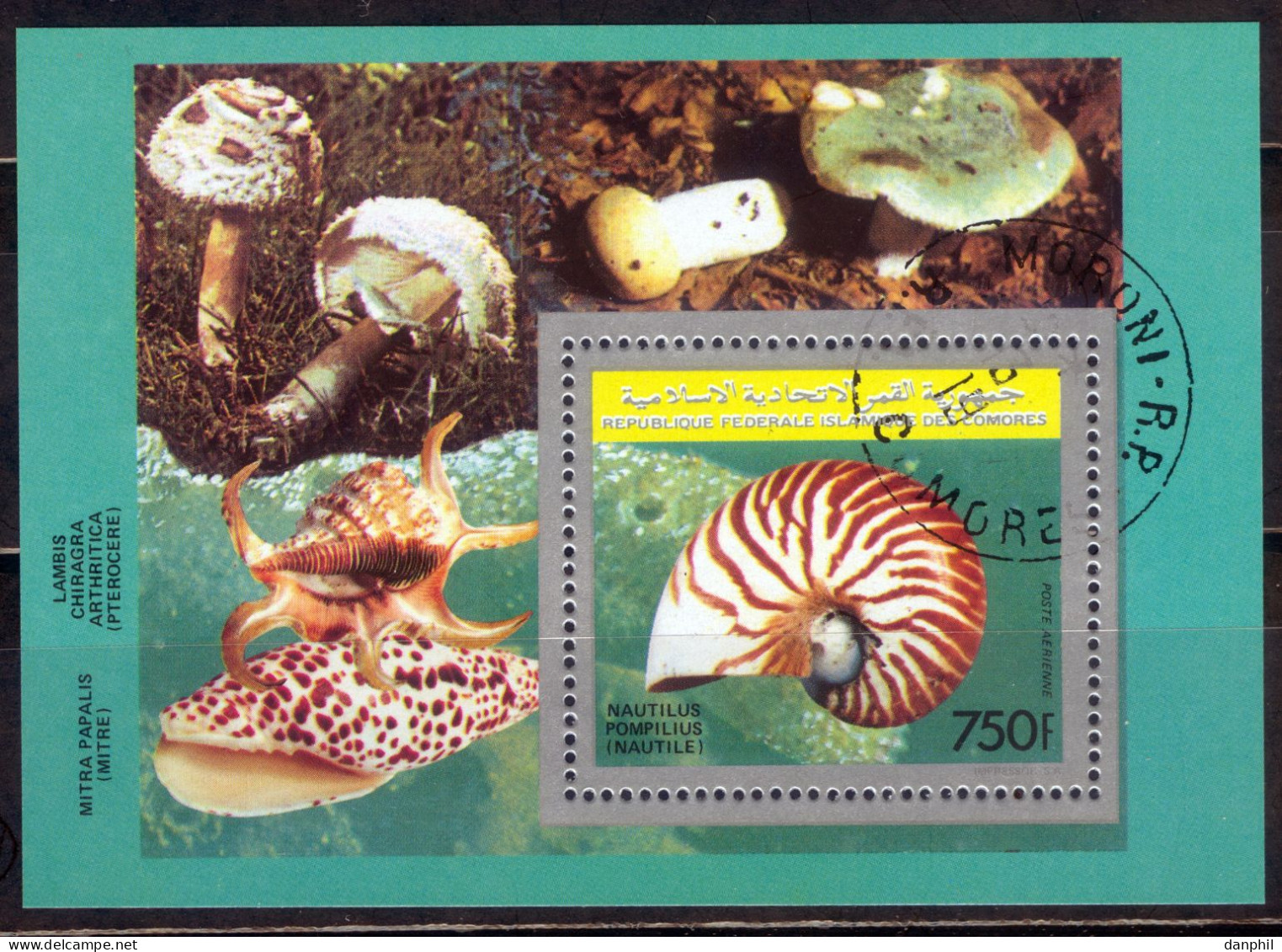 Comoros 1992, Mi.Nr.Bl. 361A Block "Nautilus", Gestempelt/CTO - Mushrooms