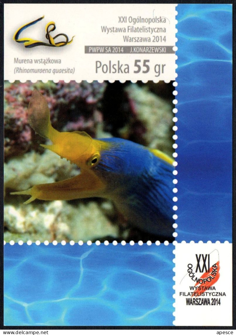 POLAND 2014 - NATIONAL PHILATELIC EXHIBITION - WARSAW 2014 - RIBBON EEL - I - Expositions