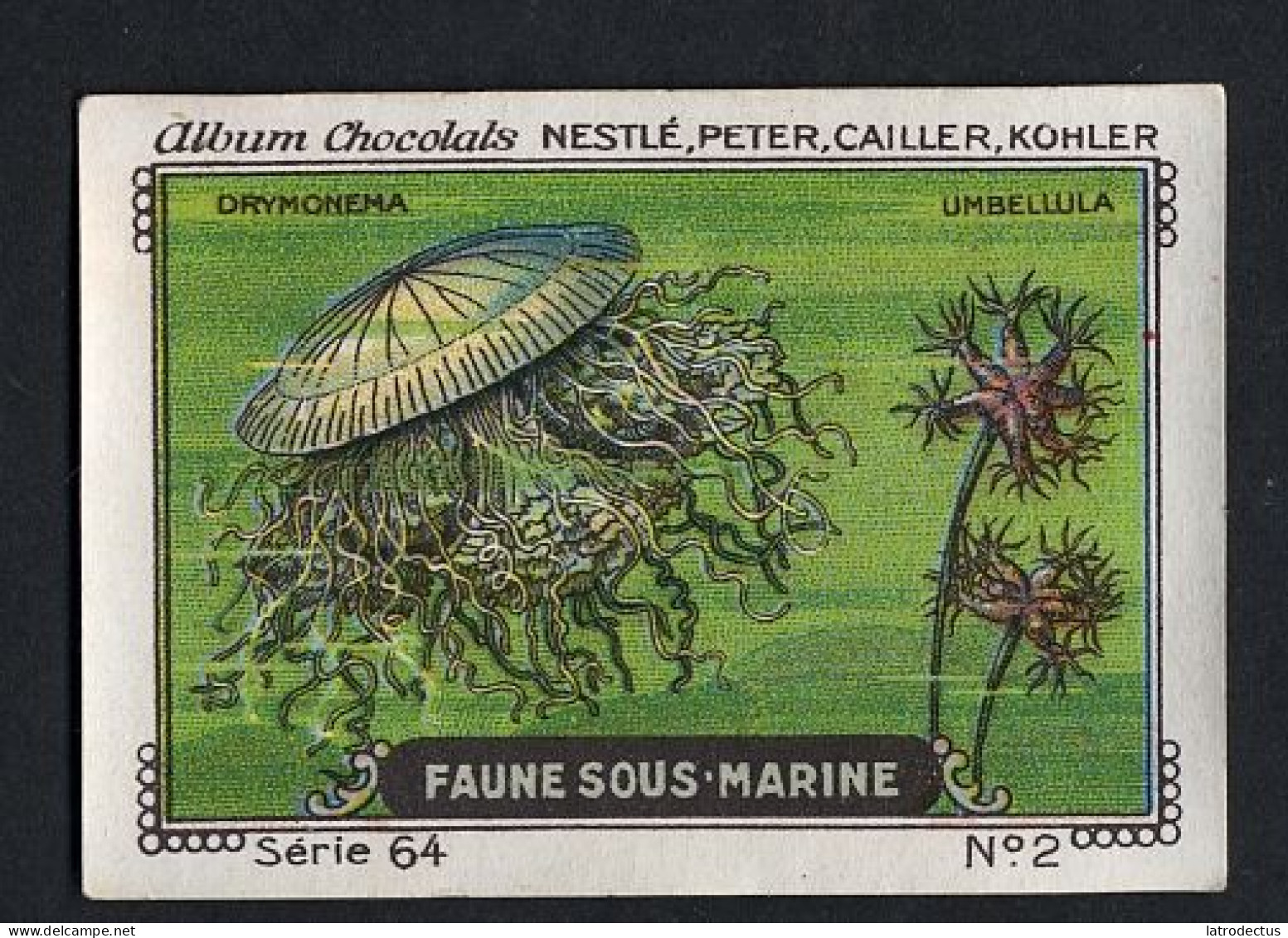 Nestlé - 64 - Faune Sous Marine, Sea Animals - 2 - Drymonema - Nestlé