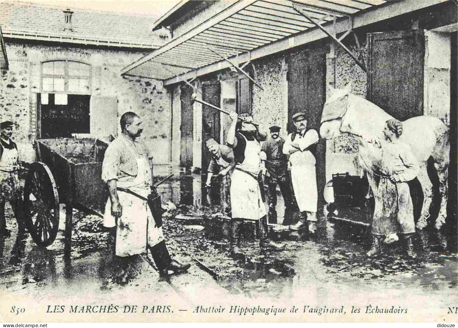 Reproduction CPA - 75 Paris - Les Marchés De Paris - Abattoirs Hippophagique De Vaugirard - Les Echaudoirs - L'An 1900 - - Non Classés