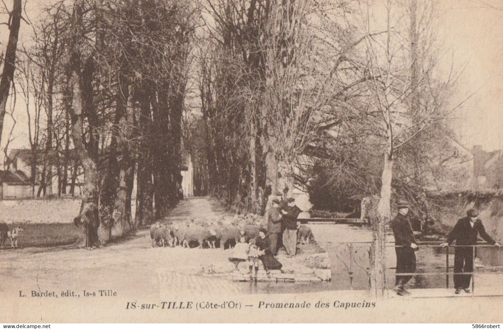 CARTE POSTALE ORIGINALE ANCIENNE : IS SUR TILLE LA PROMENADE DES CAPUCINS ANIMEE COTE D'OR (21) - Is Sur Tille