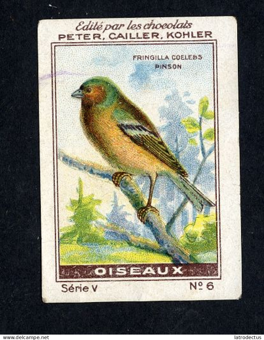 Nestlé (Edité) - V - Oiseaux, Birds - 6 - Pinson - Nestlé