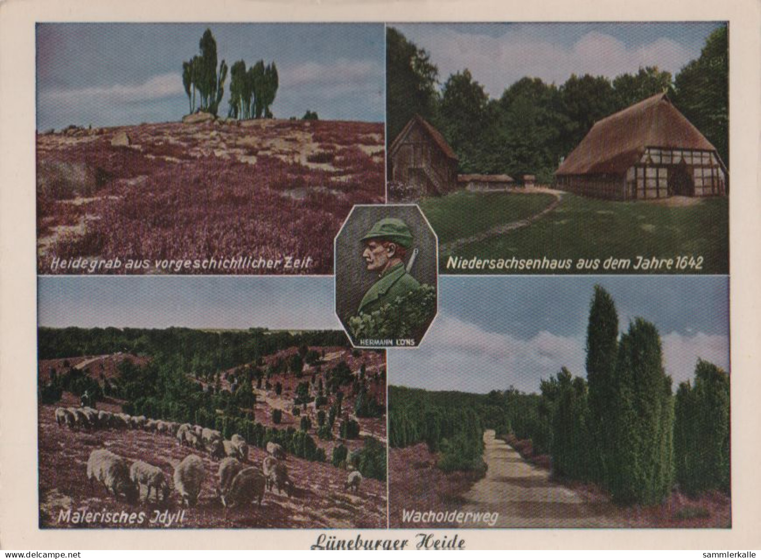28528 - Lüneburger Heide - U.a. Wacholderweg - Ca. 1970 - Lüneburger Heide