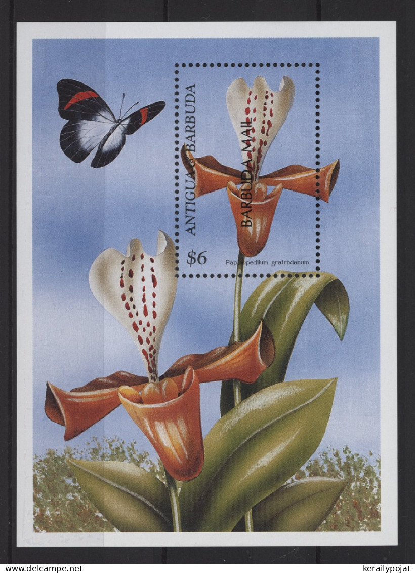 Barbuda - 1999 Orchids Block (1) MNH__(TH-26767) - Antigua And Barbuda (1981-...)