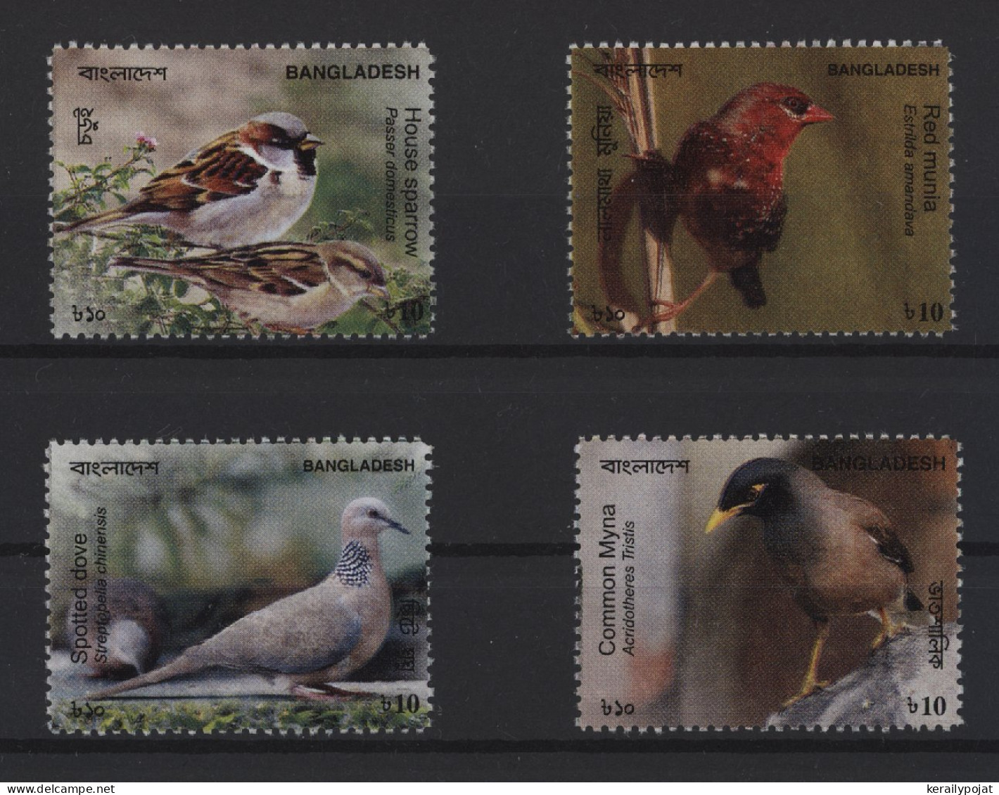 Bangladesh - 2010 Birds MNH__(TH-25468) - Bangladesch