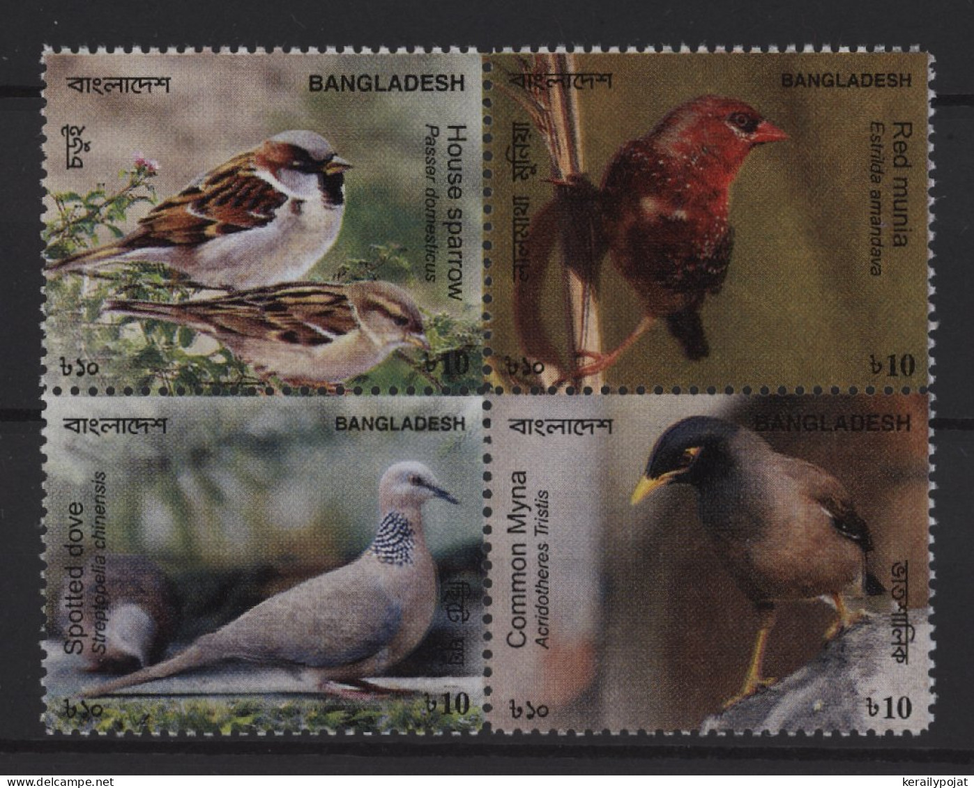 Bangladesh - 2010 Birds Block Of Four MNH__(TH-25469) - Bangladesh