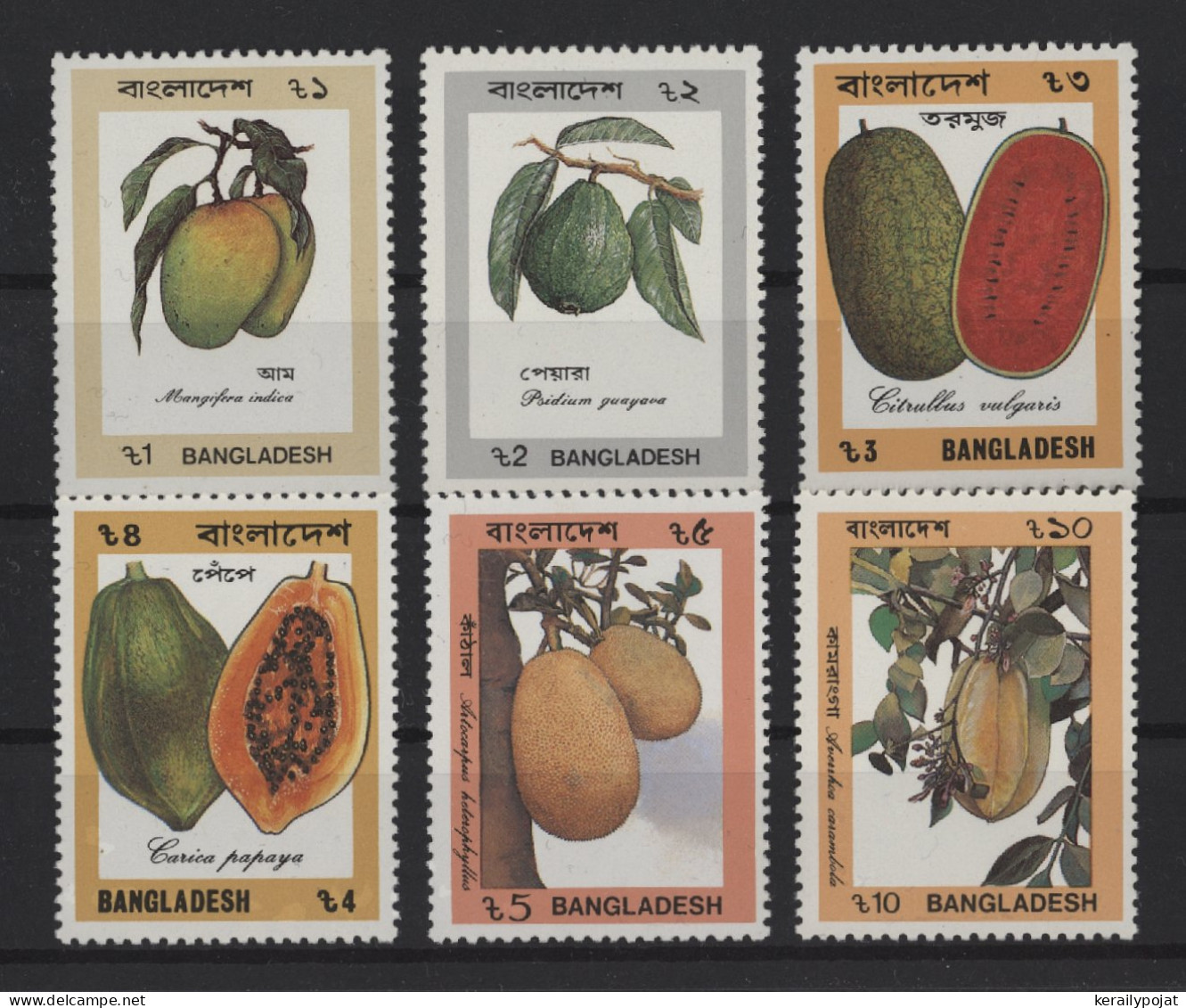 Bangladesh - 1990 Fruits MNH__(TH-25367) - Bangladesh