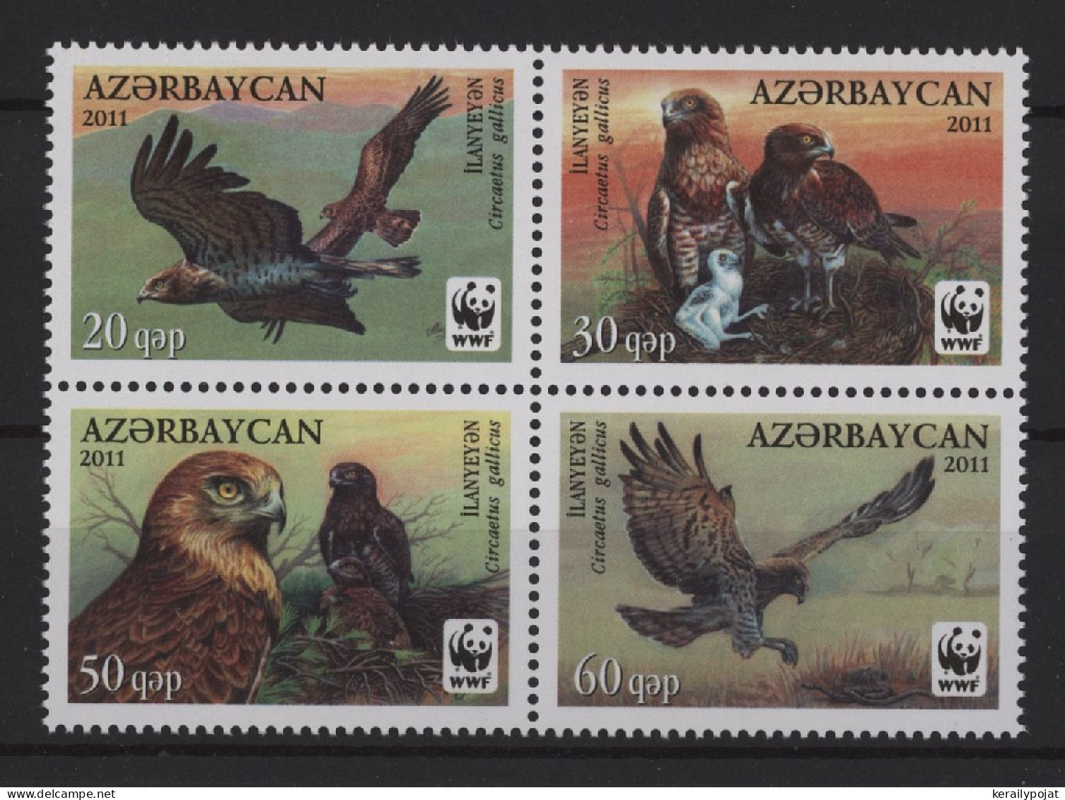 Azerbaïjan - 2011 Short-toed Eagle Block Of Four MNH__(TH-27125) - Azerbaijan