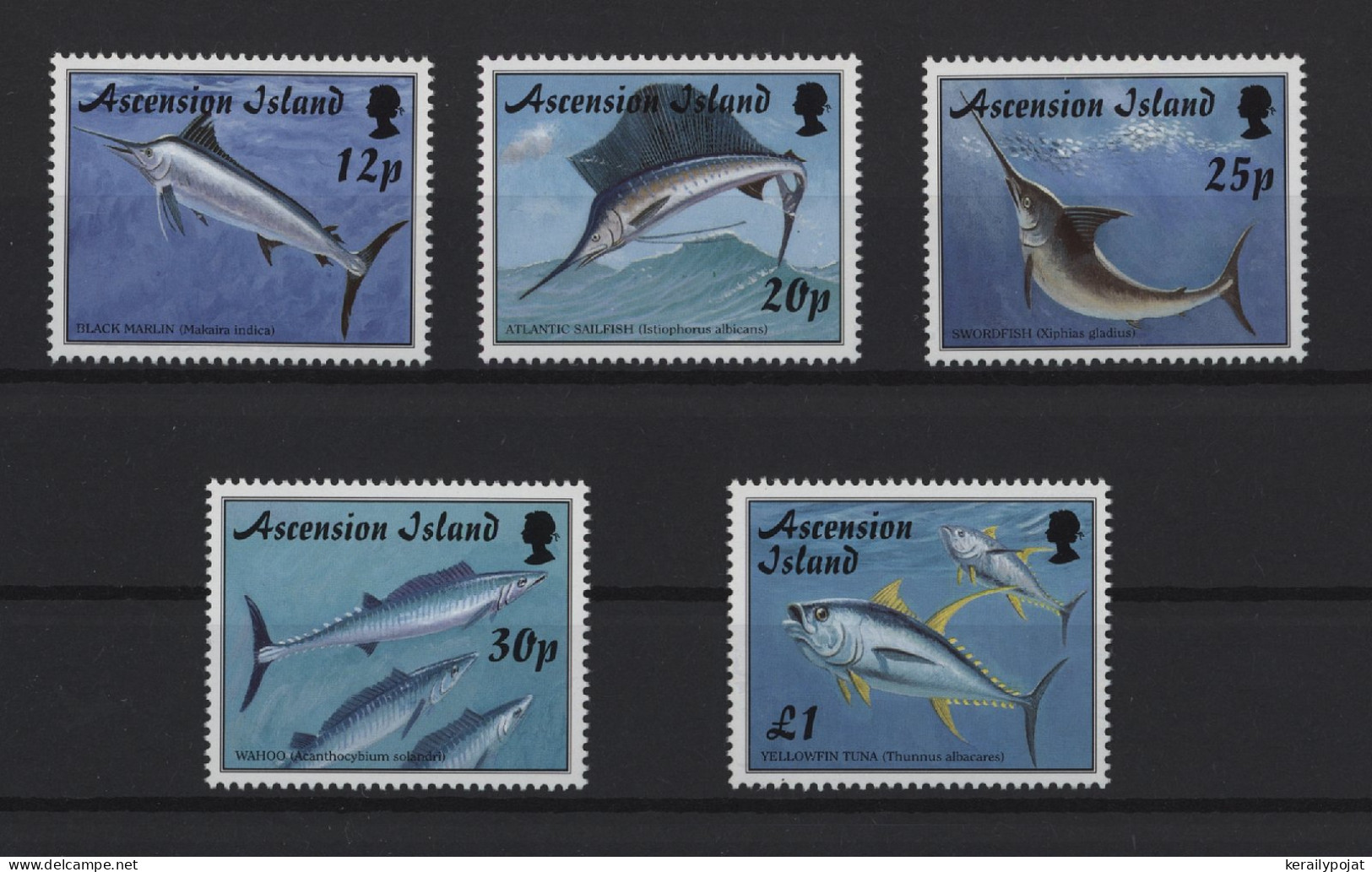 Ascension - 1997 Fishes MNH__(TH-25217) - Ascensión