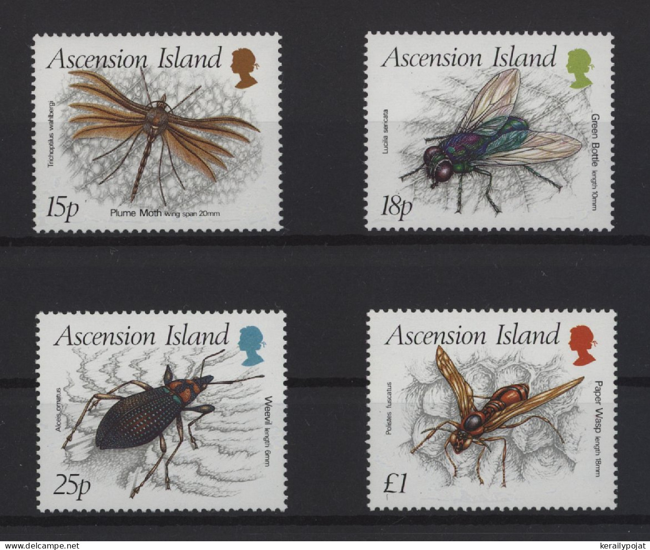 Ascension - 1989 Insects MNH__(TH-25221) - Ascension (Ile De L')