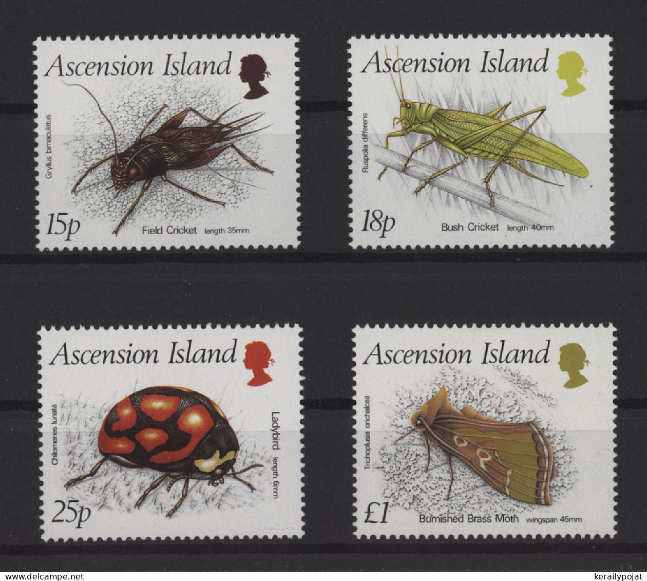 Ascension - 1988 Insects MNH__(TH-25210) - Ascension (Ile De L')