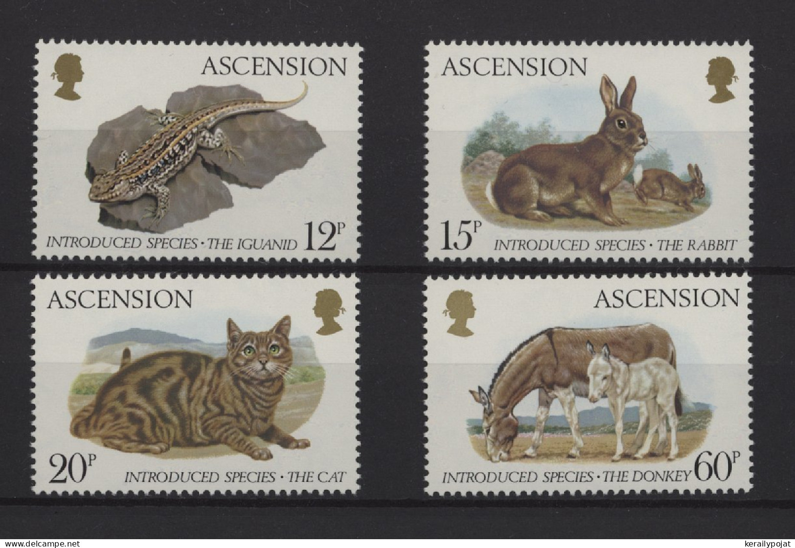 Ascension - 1983 Animals Introduced By Man MNH__(TH-25202) - Ascensión