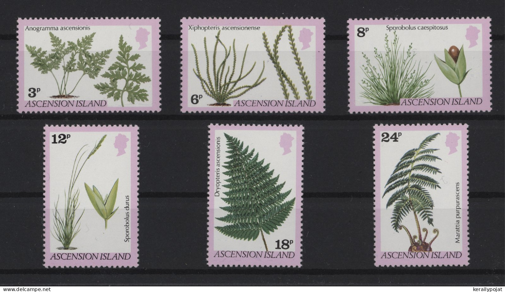 Ascension - 1980 Ferns And Grasses MNH__(TH-25192) - Ascension