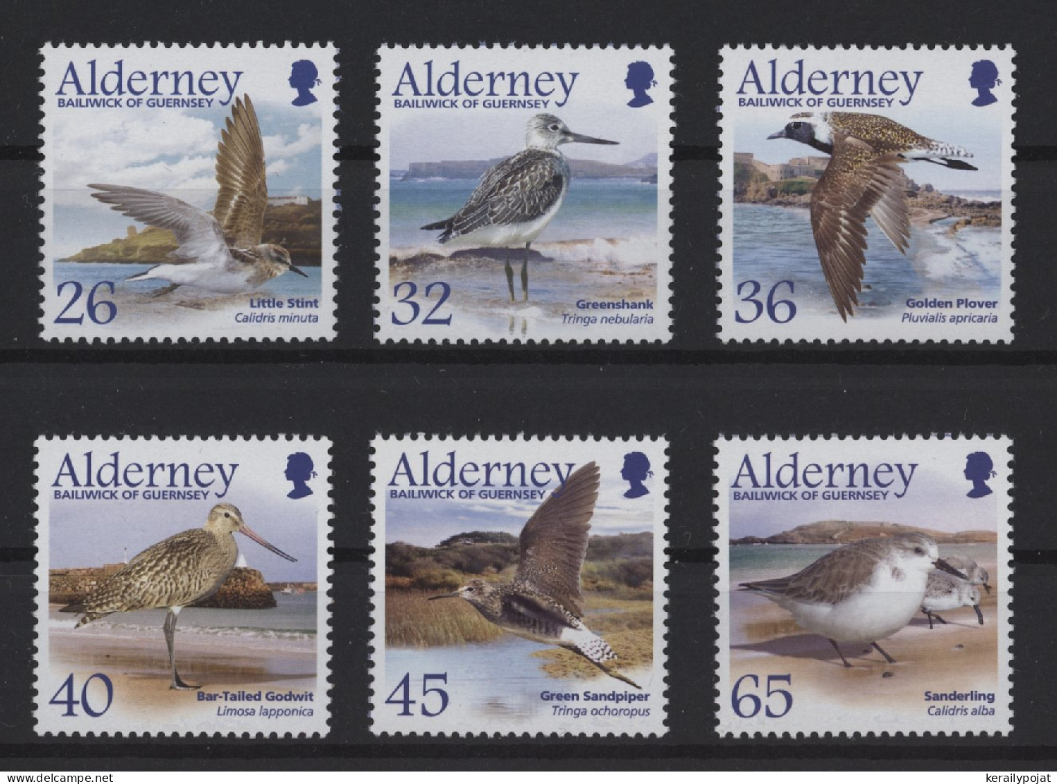 Alderney - 2005 Waders Block MNH__(TH-26711) - Alderney