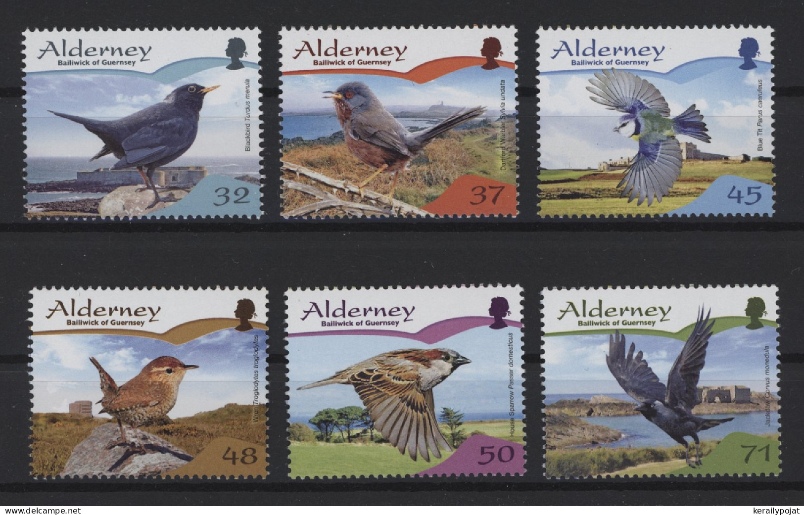 Alderney - 2007 Passerines MNH__(TH-26713) - Alderney