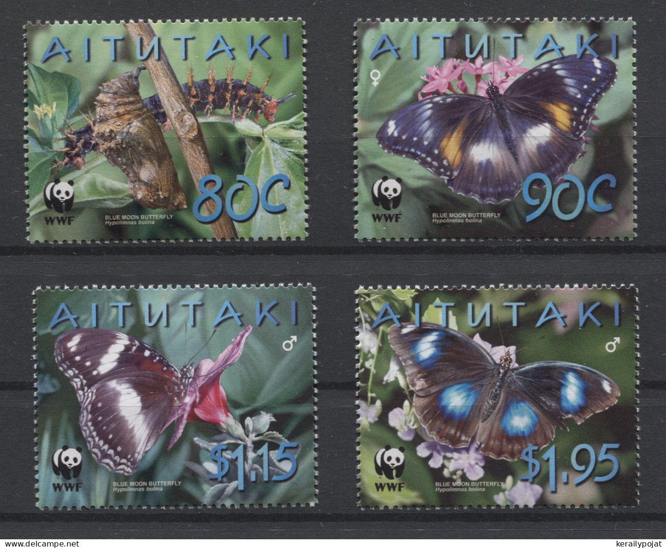 Aitutaki - 2008 Blue Moon Pansy MNH__(TH-24745) - Aitutaki