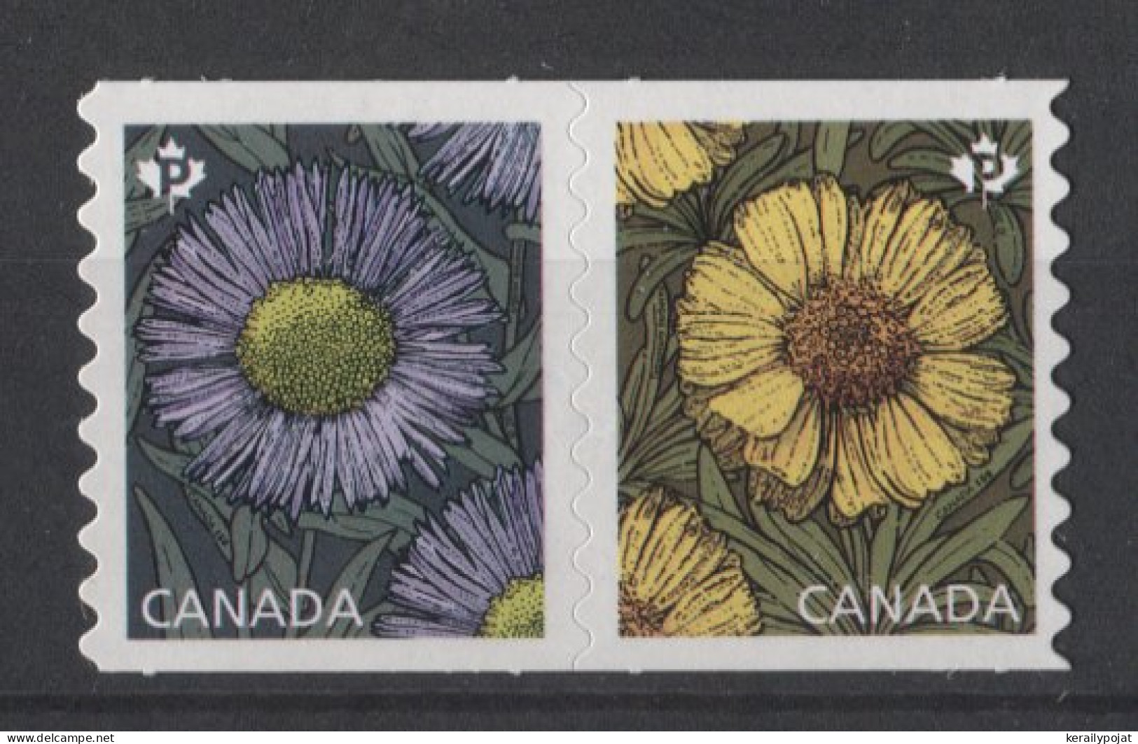 Canada - 2017 Asters Self-adhesive MNH__(TH-24634) - Nuevos