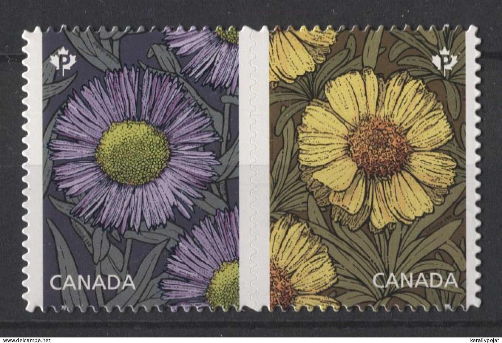 Canada - 2017 Asters Booklet Stamps MNH__(TH-24633) - Ungebraucht