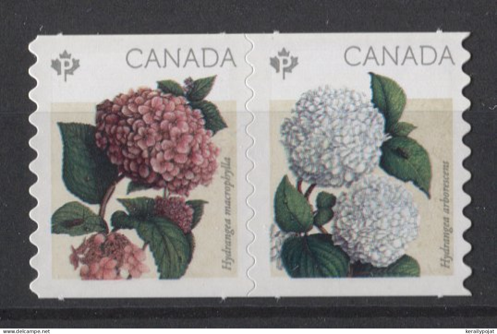 Canada - 2016 Hydrangeas Self-adhesive MNH__(TH-24613) - Unused Stamps