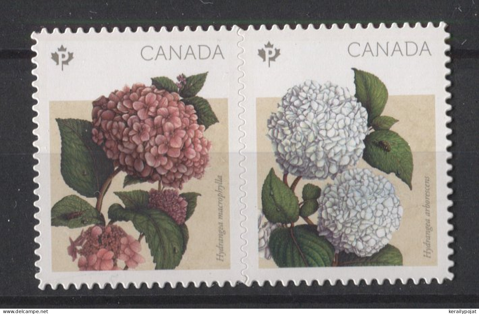 Canada - 2016 Hydrangeas Booklet Stamps MNH__(TH-24612) - Ungebraucht