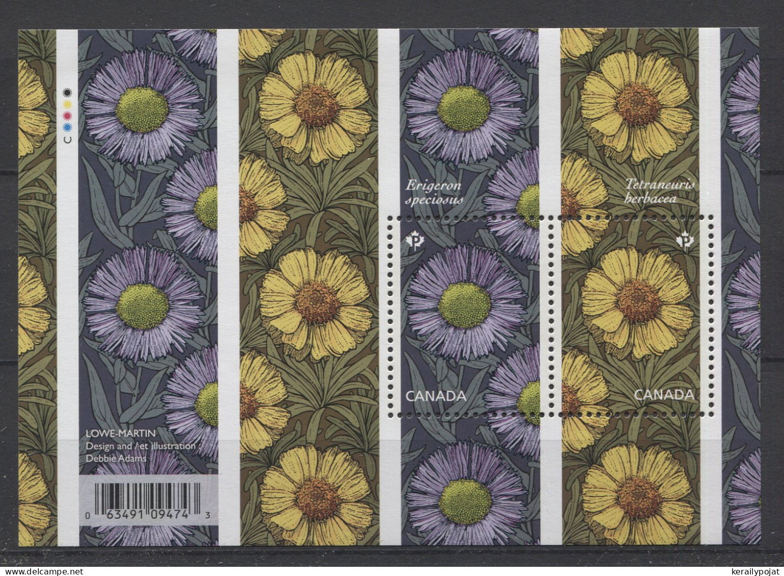 Canada - 2017 Asters Block MNH__(TH-24632) - Hojas Bloque