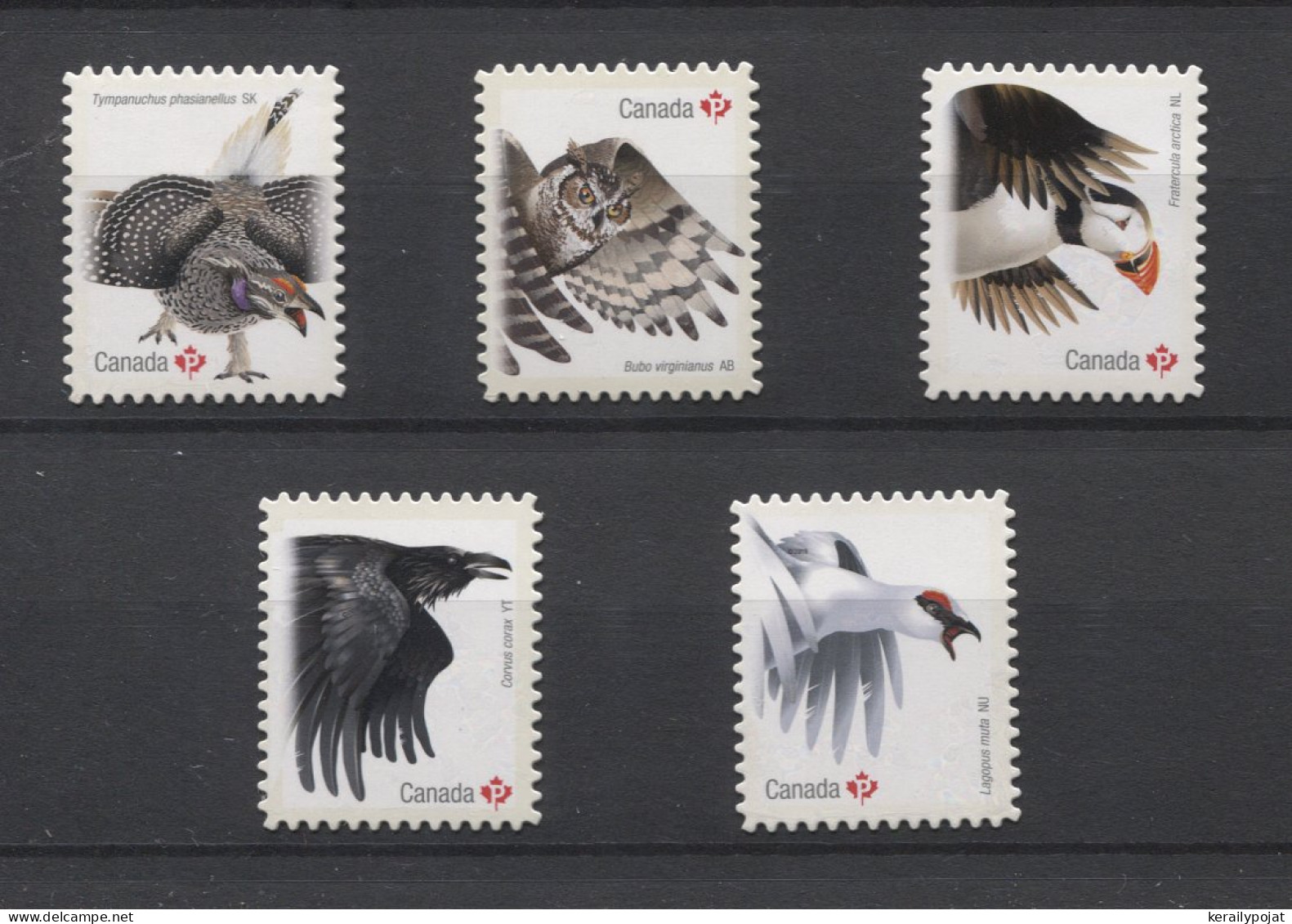 Canada - 2016 Birds Self-adhesive MNH__(TH-24617) - Unused Stamps