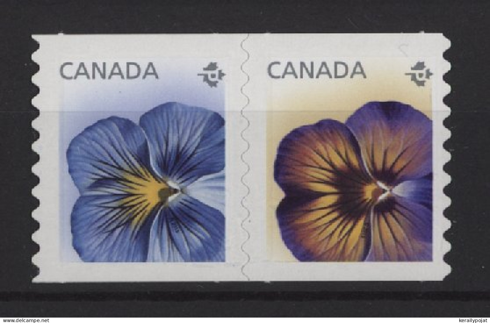 Canada - 2015 Pansies Self-adhesive MNH__(TH-24590) - Unused Stamps