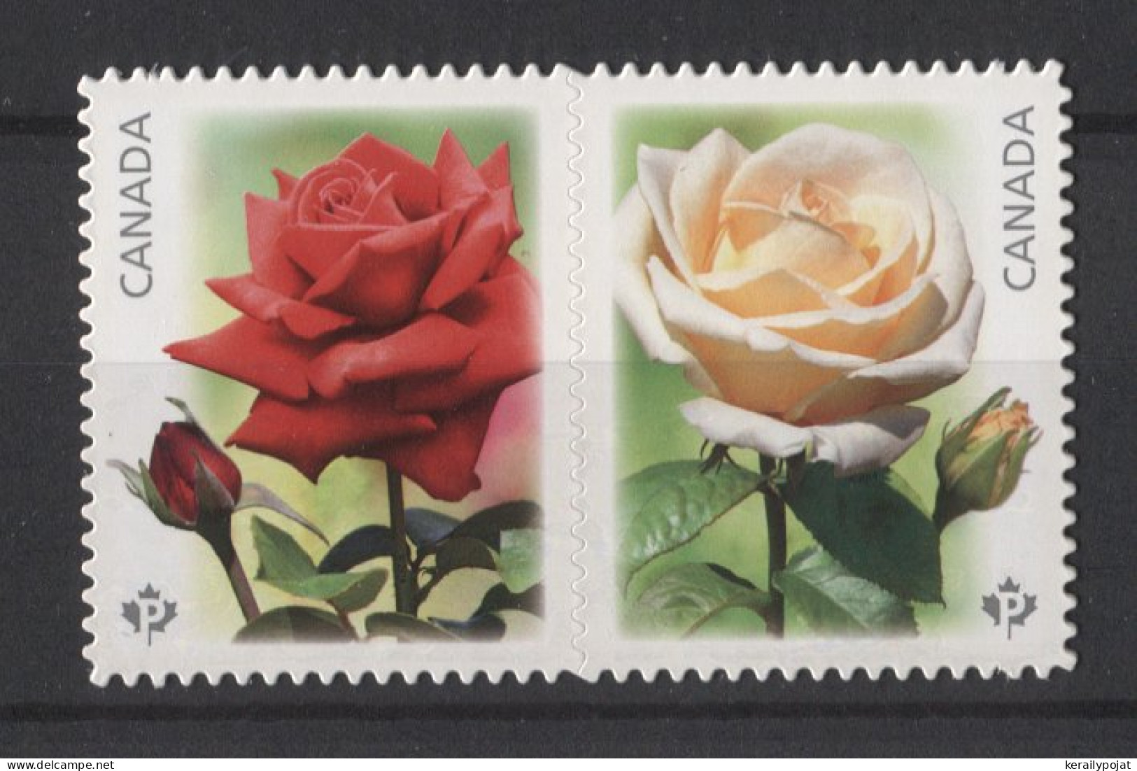 Canada - 2014 Roses Booklet Stamps MNH__(TH-24686) - Unused Stamps