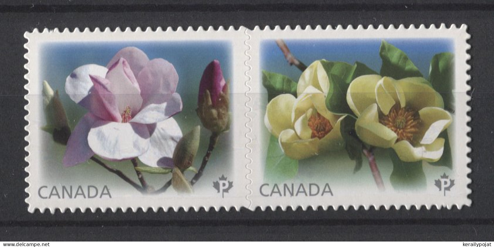Canada - 2013 Magnolias Booklet Stamps MNH__(TH-24662) - Unused Stamps